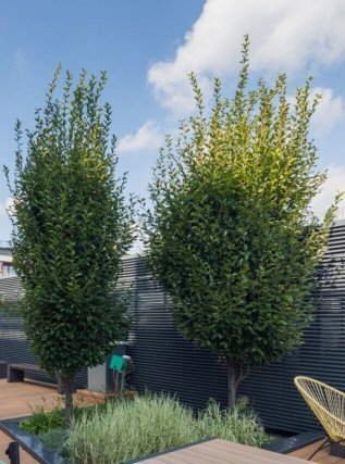 Portfolio - Artico - Creating sustainable workspaces