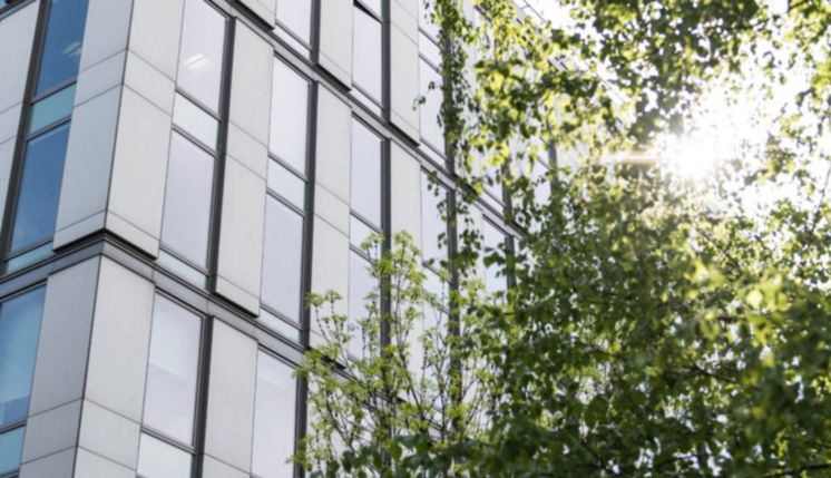 Małgorzata Czaplicka appointed President of the Management Board of GTC S.A.